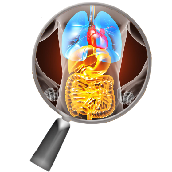 3D Interactive Visualization Platform for Facilitating Surgery  and 3D Printing